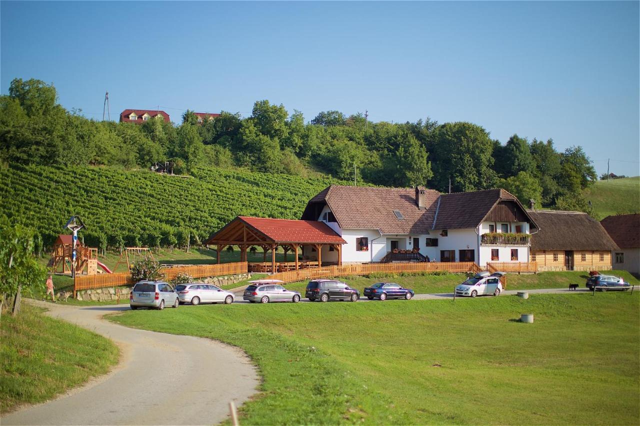 Tourist Farm Apartments Lovrec Jirsovci エクステリア 写真