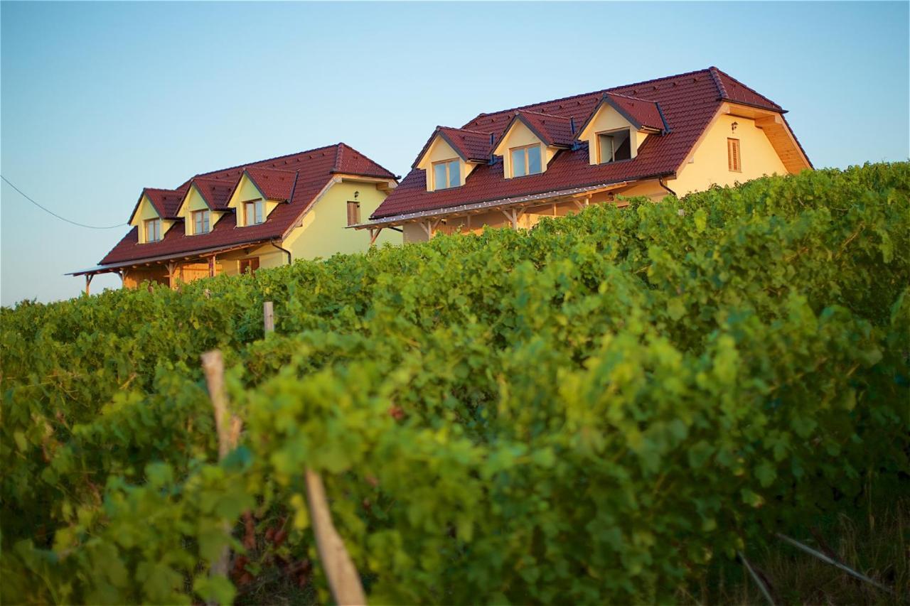 Tourist Farm Apartments Lovrec Jirsovci エクステリア 写真